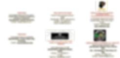 cats (43).png