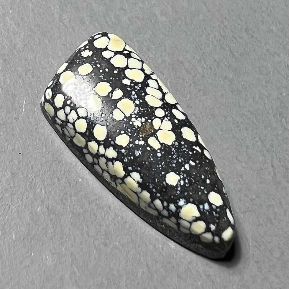 Thumbnail: Kaleidoscope Mine Variscite Cabochon