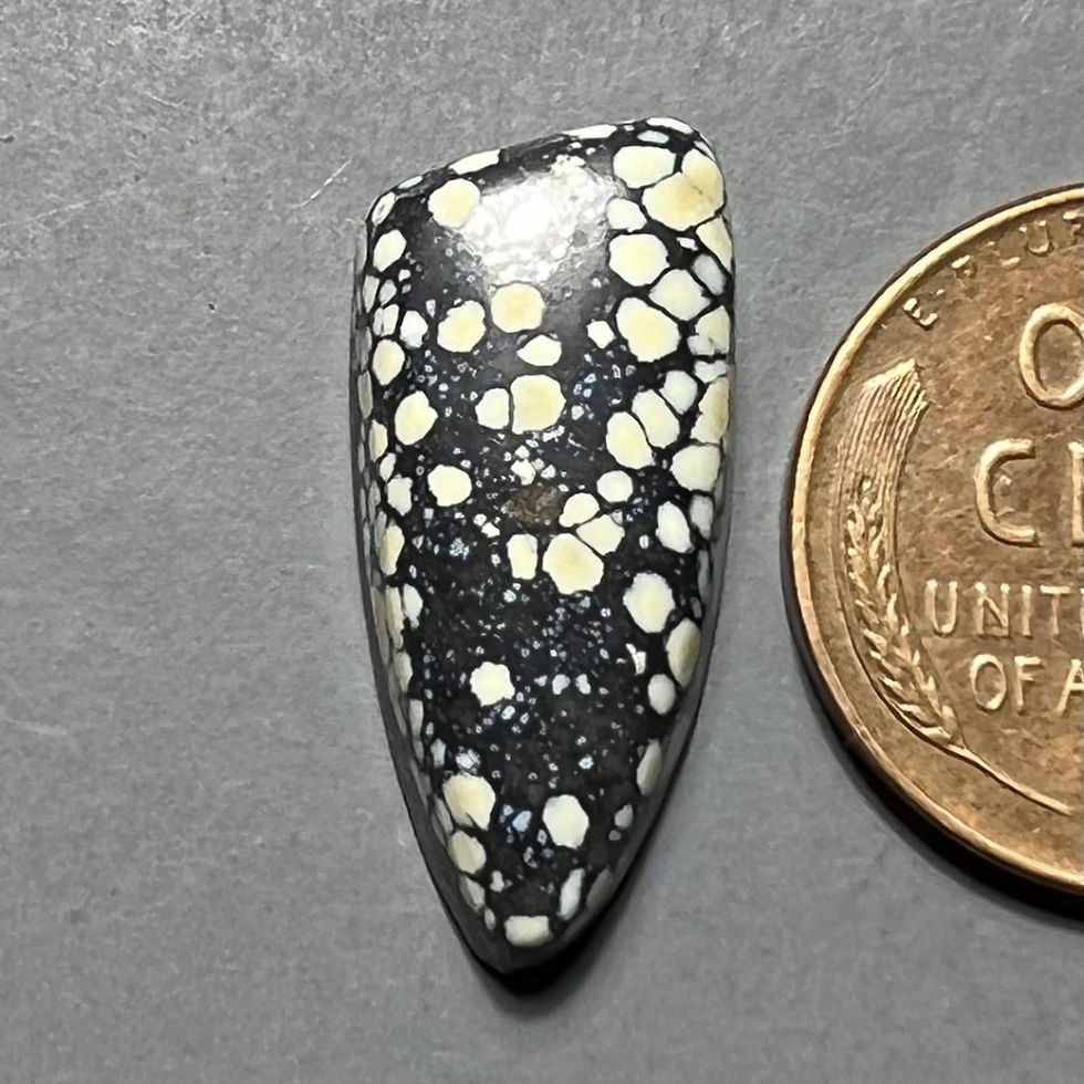 Thumbnail: Kaleidoscope Mine Variscite Cabochon