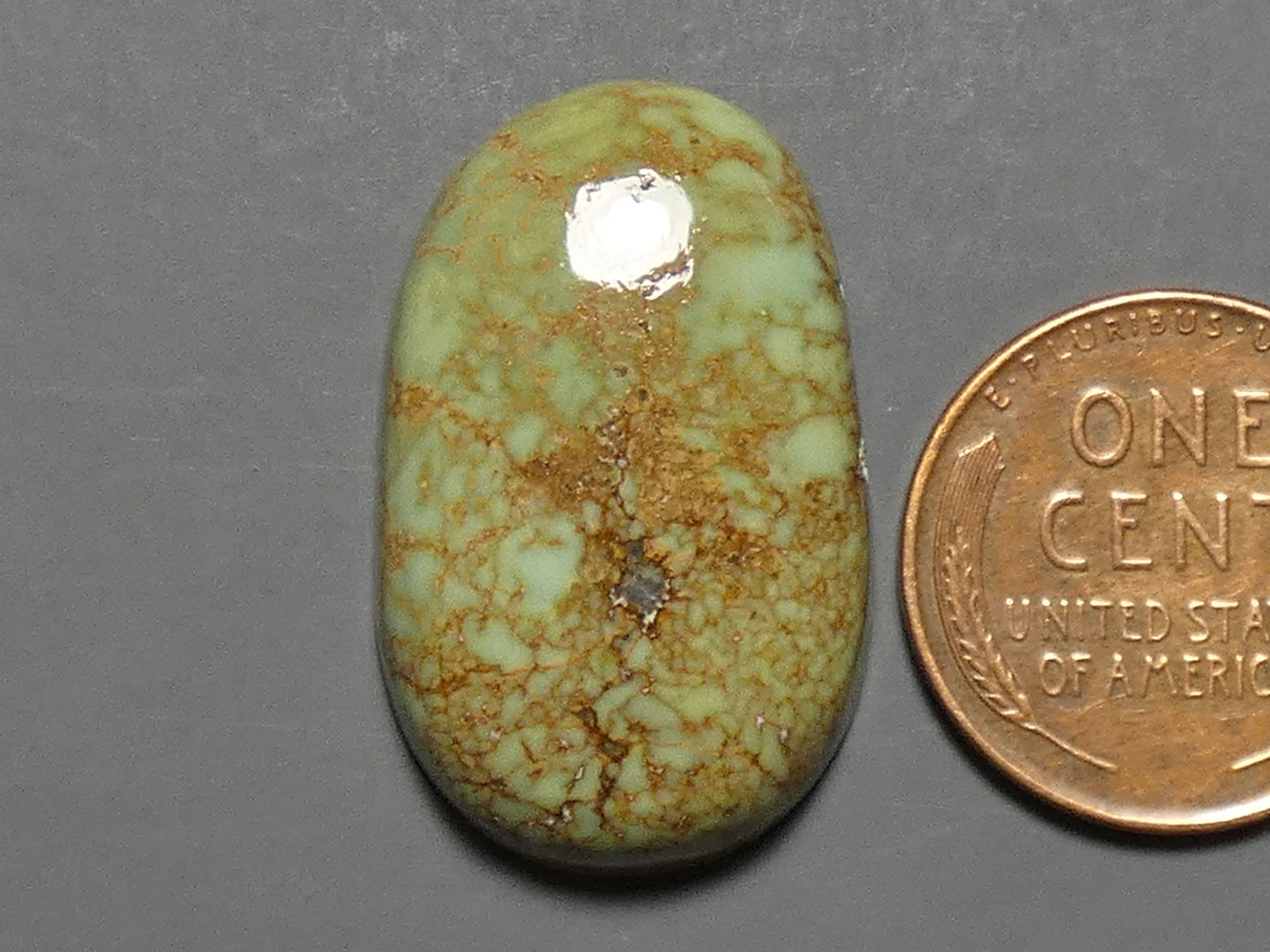 Firefly Variscite Cabochon