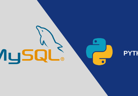 {UPDATED (1)} Python-MySQL Management Project