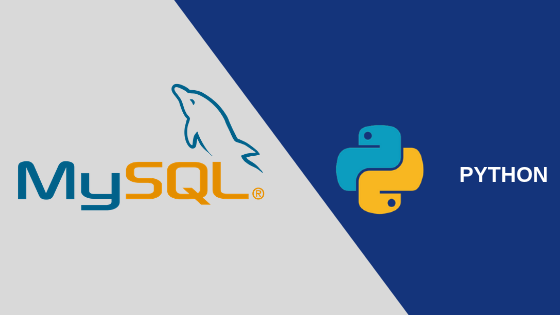 {UPDATED (1)} Python-MySQL Management Project