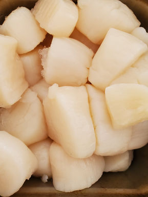 Fresh USA scallops at The Seafood Place seafood market in Tullahoma Tennessee