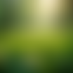 The Importance of Sustainable Living in Today's World