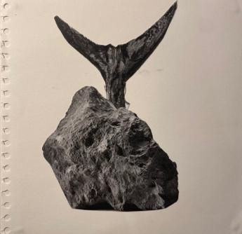 image8