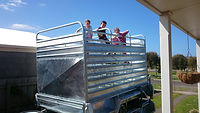 Galvansied Cattle Trailer
