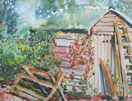 Round by the Shed