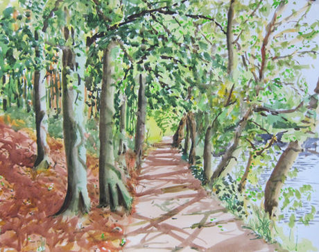 Fyvie Loch Walk