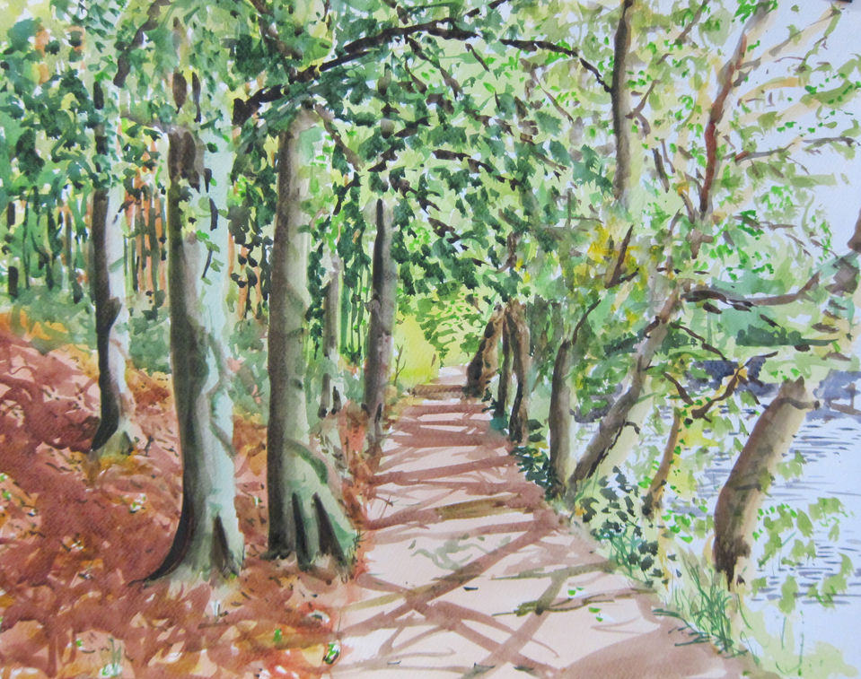 Fyvie Loch Walk