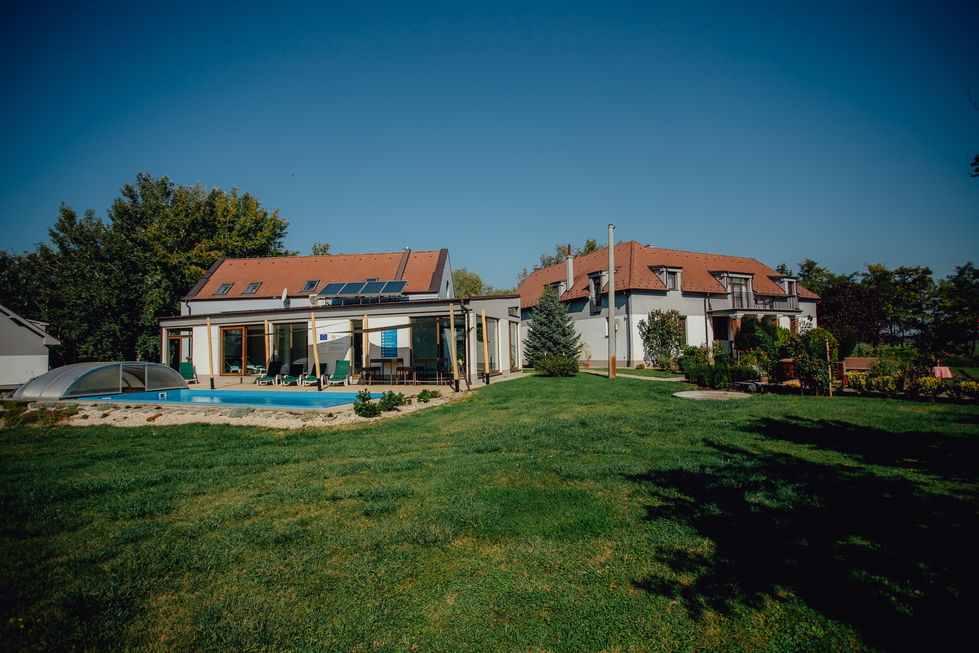 photo_platan_oldwebsite (38)