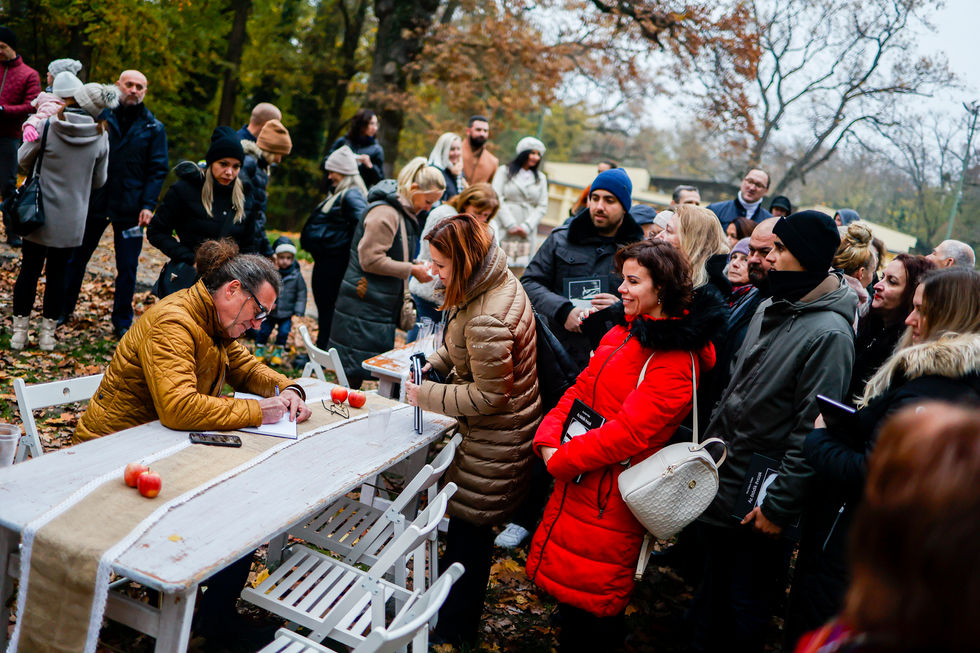 milestone - book - portfolio album