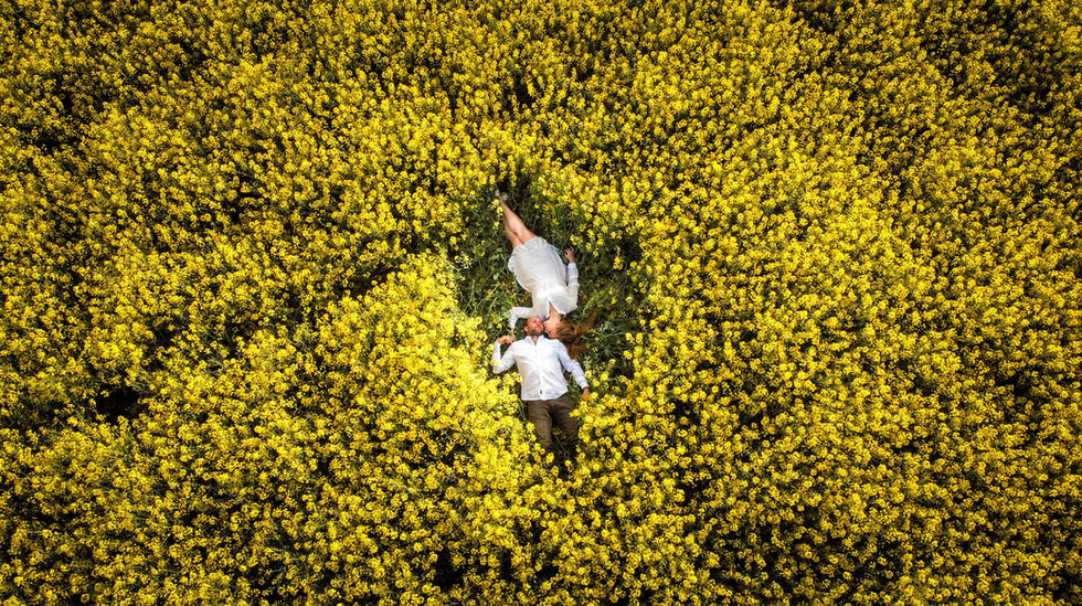 gibbo-foto-drone (7).jpg