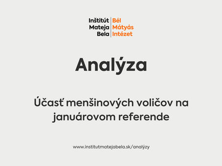 Analýza IMB: Účasť menšinových voličov na januárovom referende