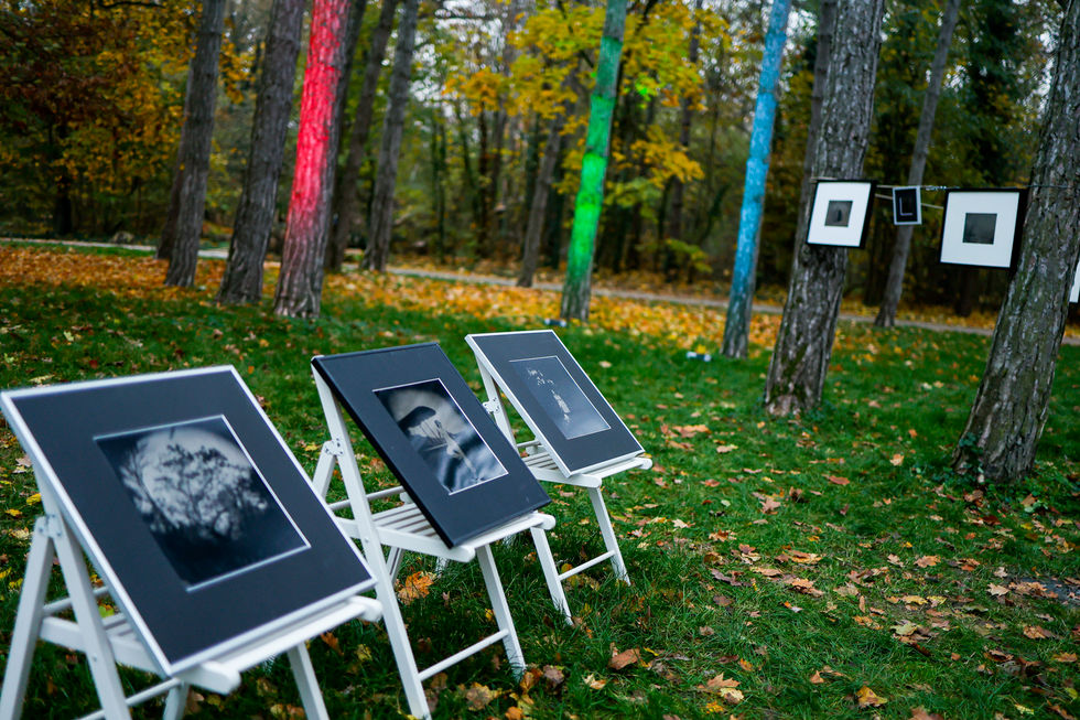 milestone - book - portfolio album