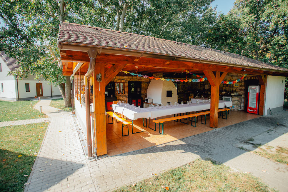 photo_platan_oldwebsite (28)