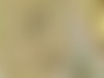 Bathroom Renovation Tips for Seniors: Creating a Safe and Comfortable Space