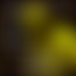 The Vast of Night (2019)