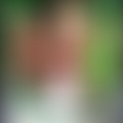 The Nutty Professor (1996) & Flubber (1997) - The 90s CGI Boom