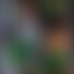 Rockstar Scientists & Stolen Dreams - Buckaroo Banzai (1984) & The City of Lost Children (1995)