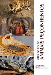 CAPA MANUAL FUNED.jpeg