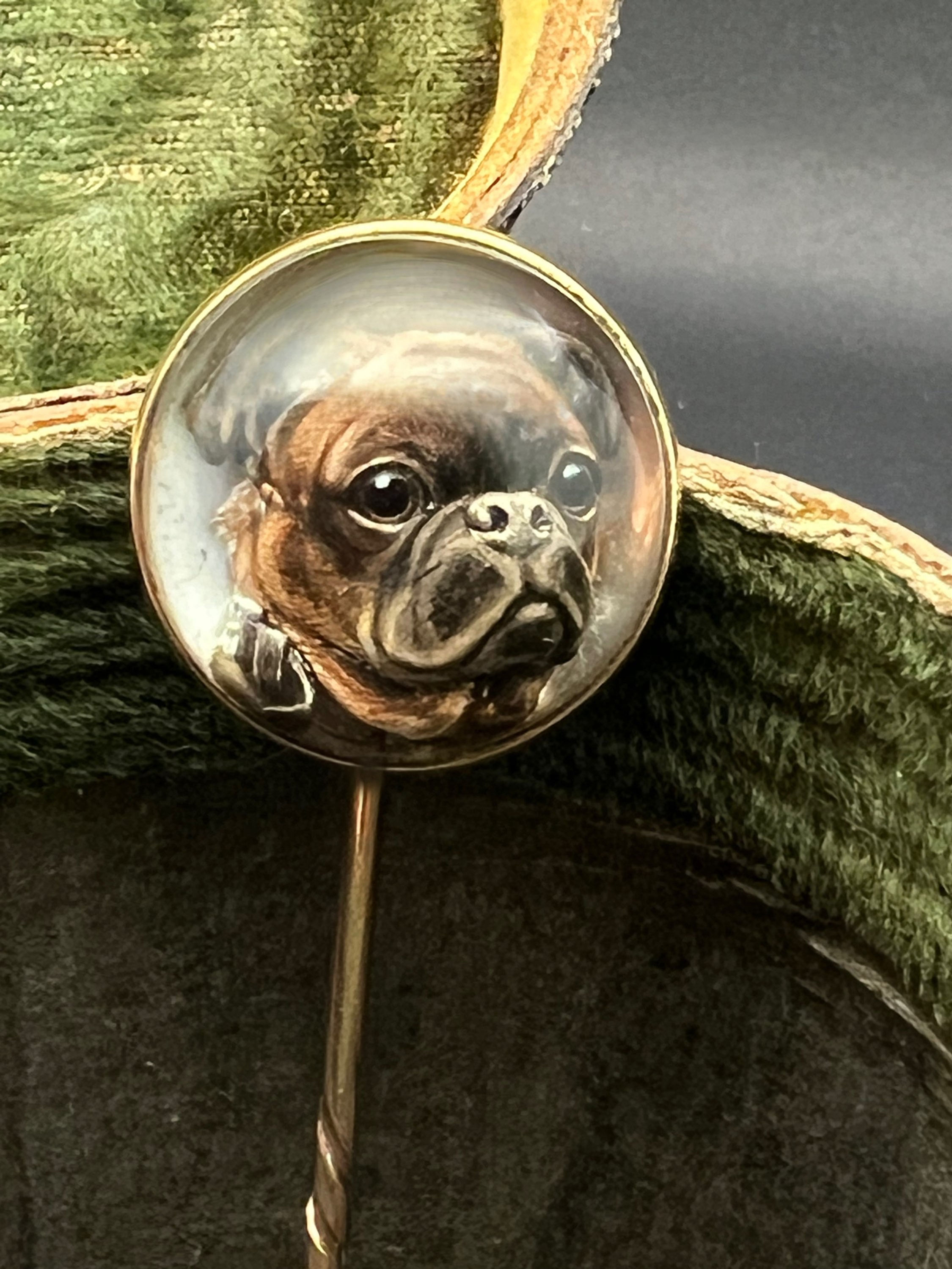 French Bulldog Essex