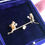 Thumbnail: Monkeys on a SeeSaw