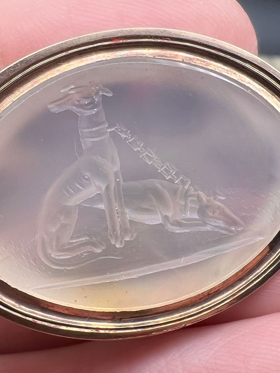 Thumbnail: Georgian Greyhounds Seal