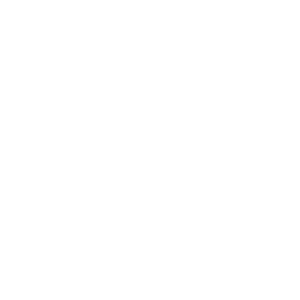 Apex_shower_Repairs_Icons_Experience