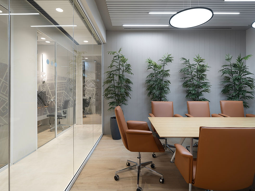 ההחלטה הנכונה