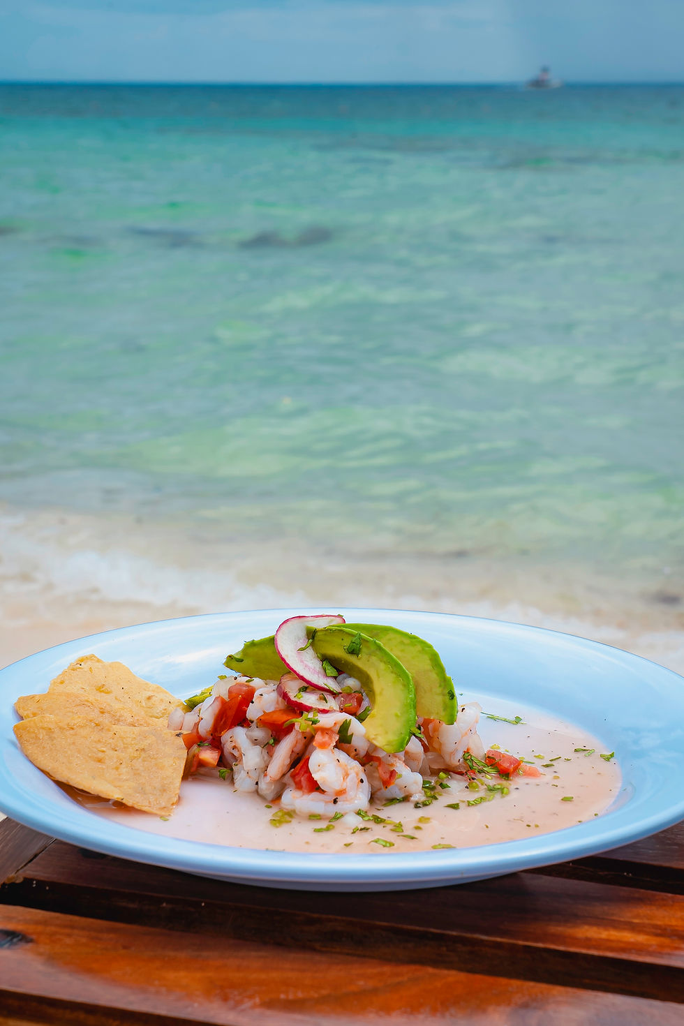 PLAYA PALANCAR ALL INCLUSIVE178 copia.jpg