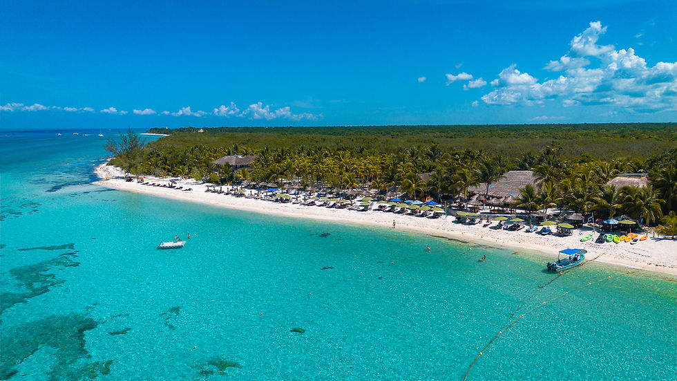 Playa Palancar Cozumel VIP Exclusivo