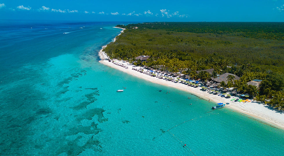 IMG_4506 (1) copia.jpg