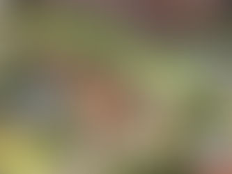 Carbon is not our Enemy