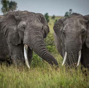 _B3A3190 (1)-min.jpg