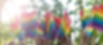 AdobeStock_345946077.jpeg