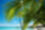 Hotel Kia Ora Ranriroa Overwater bungalow-min.jpg