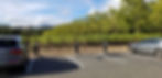 Anderson Conn Valley 1