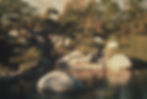 Playboy Mansion