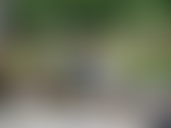 A Furry Love Like No Other: 