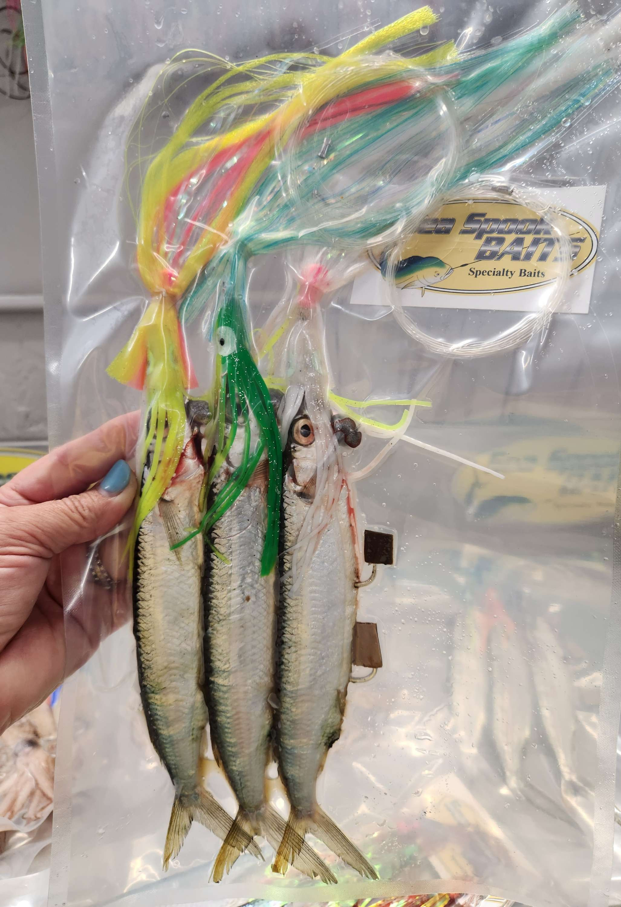 Rigged Ballyhoo | Mono |  Custom Sea witch | 3 pack