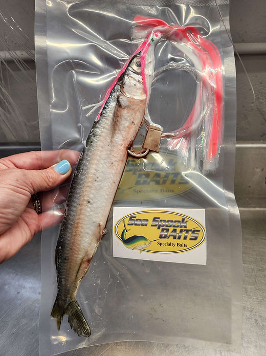 Offshore Fishing Ballyhoo Fish Bait Rigged Ballyhoo Mono Custom