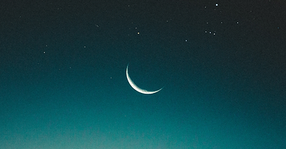 Reading Banner (1).png