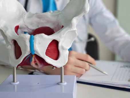 Urogynecology Specialist for Pelvic Pain and Heavy Periods