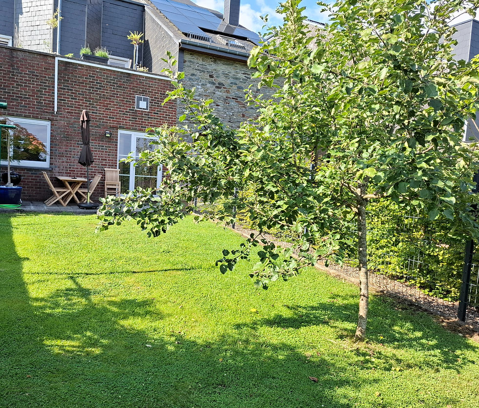 Jardin Gîte la Chambre Forte_edited.jpg