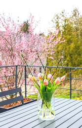 Terrasse Le Haut des Vannes