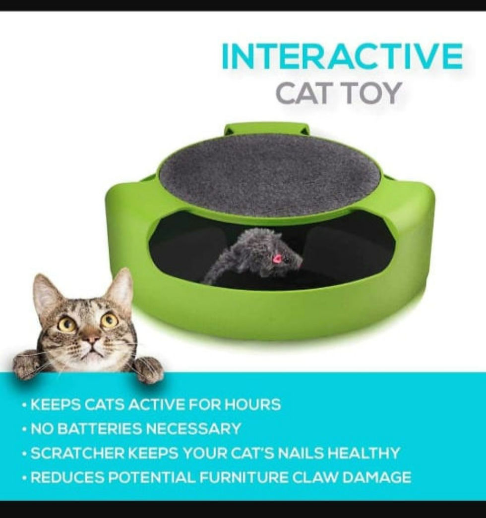 Thumbnail: Cat scratchers & Dogs scientific Toys