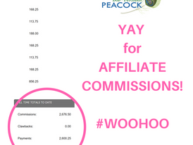 3 Reasons Your Should Add an Affiliate Income Stream to your VA Business!