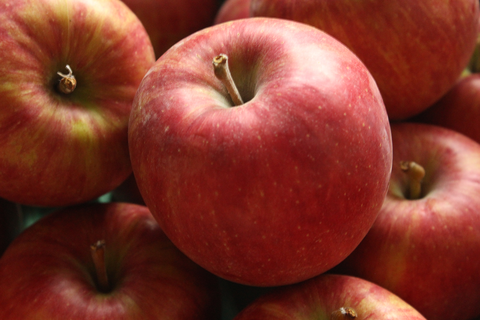 サムネイル： （完売）【訳あり】りんご 10kg箱