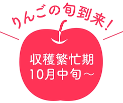 仕組み図1.png