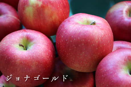 Thumbnail: ジョナゴールド　赤いりんご果実